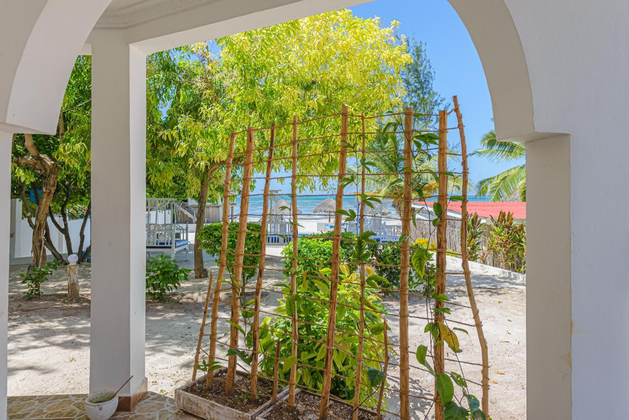 Marea Boutique Hotel Jambiani  Luaran gambar